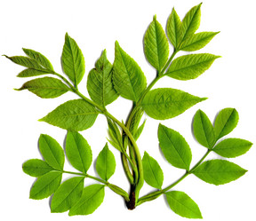 Similar image 671781