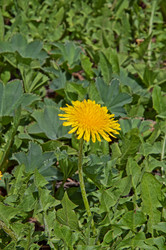 Similar image 671785