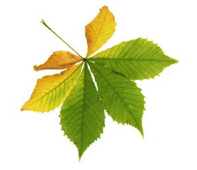 Similar image 671790