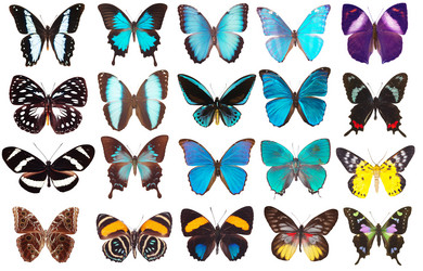 Similar image 671791