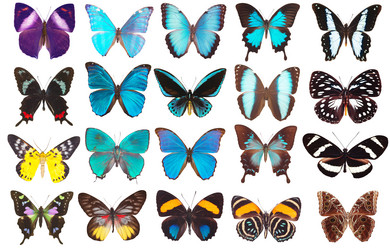 Similar image 671792