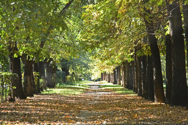 Similar image 671805