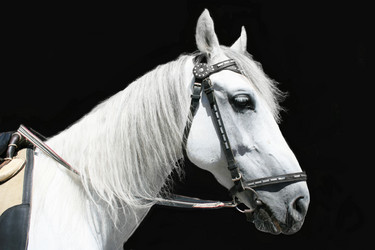 Similar image 671810