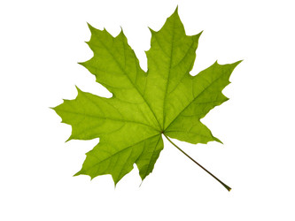 Similar image 671843