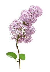 Similar image 671860