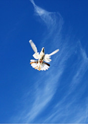 Similar image 671879