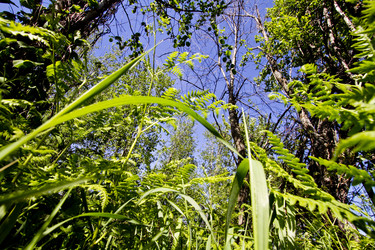 Similar image 671881