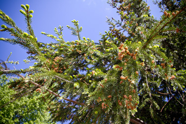 Similar image 671885