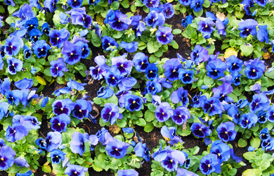 Similar image 671901