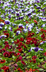 Similar image 671902