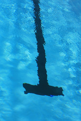 Similar image 671905