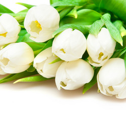 Similar image 671918