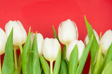 Similar image 671919