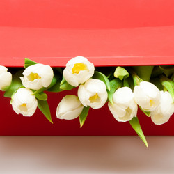 Similar image 671921