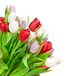 Similar image 671924