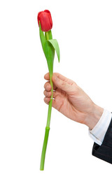 Similar image 671926