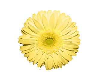 Similar image 671927