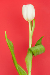 Similar image 671928