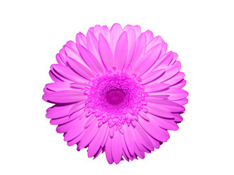 Similar image 671929