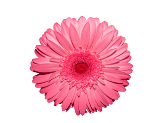 Similar image 671930