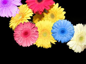 Similar image 671936