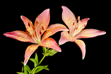 Similar image 671940