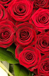 Similar image 671944