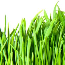 Similar image 671946