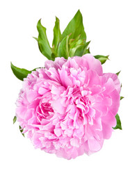 Similar image 671972