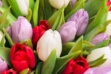 Similar image 671976