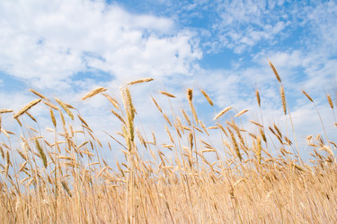 Similar image 671989