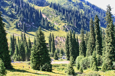 Similar image 672005