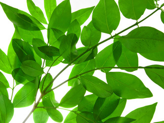 Similar image 672021