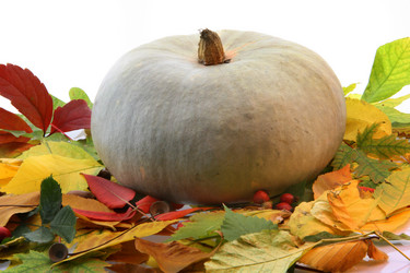 Similar image 672035