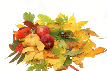 Similar image 672046