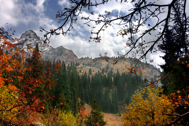 Similar image 672048