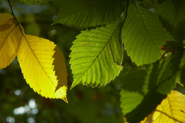 Similar image 672051