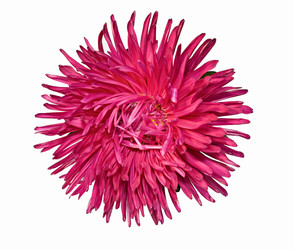 Similar image 672052