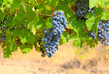 Similar image 672057