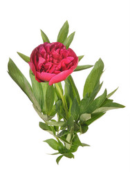 Similar image 672073