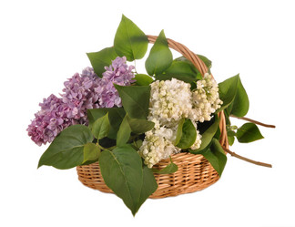 Similar image 672078