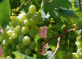 Similar image 672081