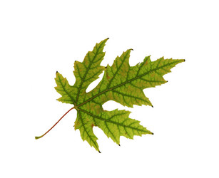 Similar image 672105