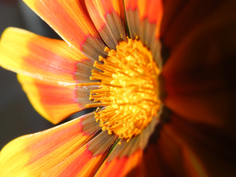 Similar image 672110