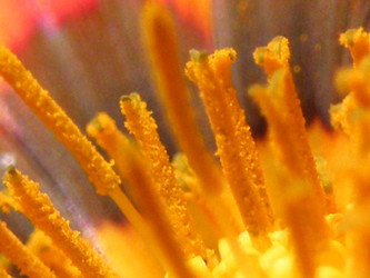 Similar image 672112