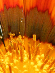 Similar image 672115