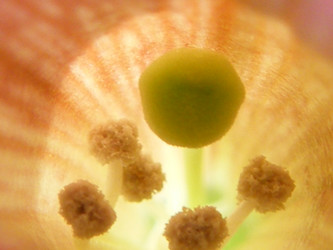 Similar image 672117