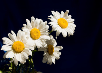 Similar image 672119