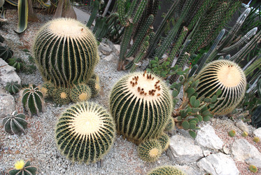 Similar image 672166