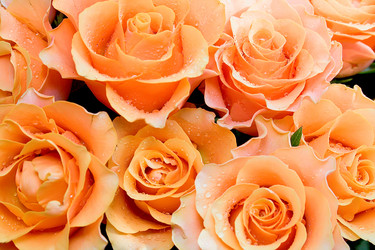 Similar image 672187